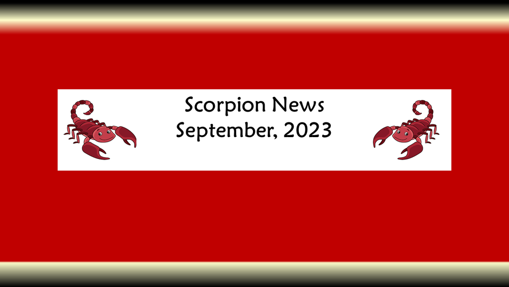 Scorpion Newsletter
