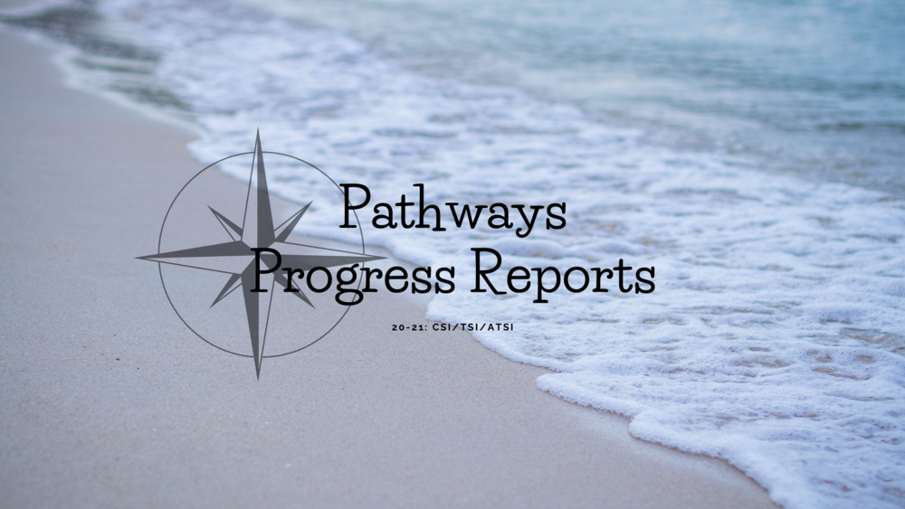 Black words stating "pathways progress reports" in front of an ocean background