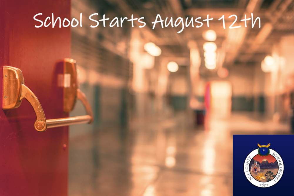 School Starts