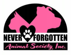 Volunteer Opportunity!