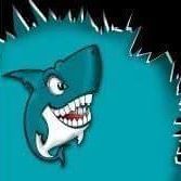 RCMS Swimming to the top!