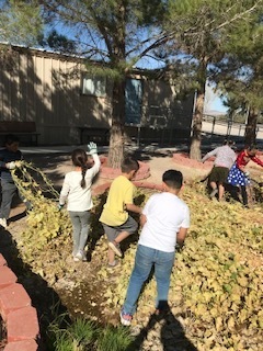 Second and Fifth Grade working in the school gardens.